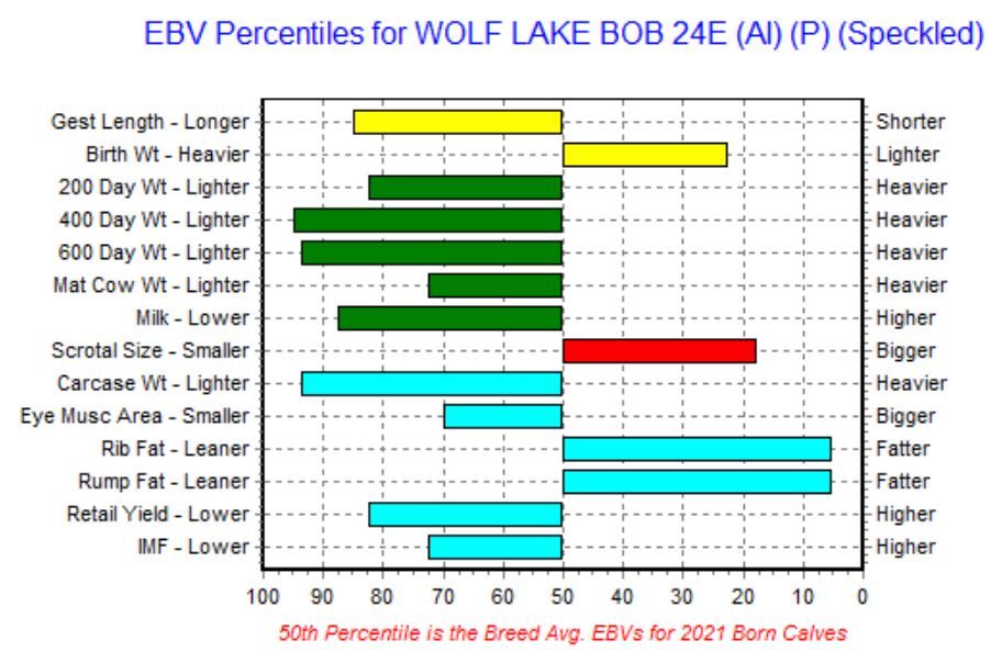 WOLF LAKE BOB 24E (AI) (P) (Speckled) SEMEN STRAWS – Everest Speckle Park